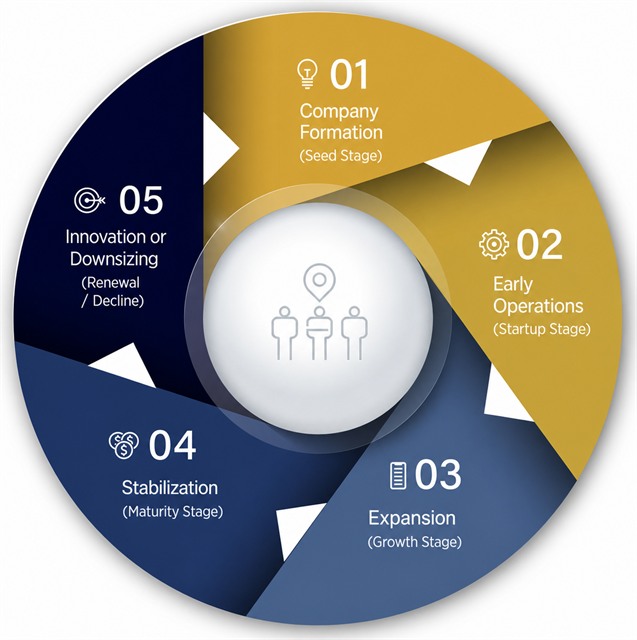 Business Lifecycle Stages